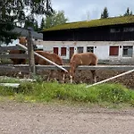 Апартаменты Park View *