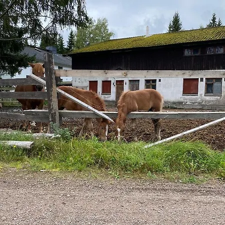 Appartement Park View *